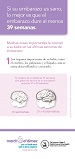 Late Preterm Brain Development Flyer Spanish